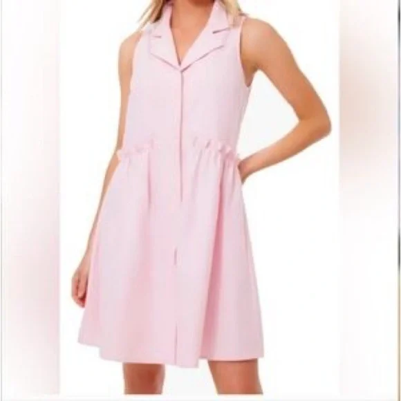 TUCKERNUCK Oxford Pink Sleeveless Royal Shirt Dress - Picture 2 of 7